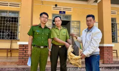 Phát hiện con vật ‘lạ’ trước nhà, người đàn ông ở Gia Lai làm điều bất ngờ