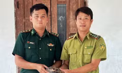 Rùa quý trên đường Hồ Chí Minh sắp trở lại rừng