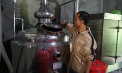 Hành trình 10 năm thoát nghèo ngoạn mục của chàng trai Cơ Tu 