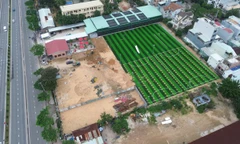 Bãi đỗ xe bị biến thành 'tổ hợp thể thao', Đà Nẵng chỉ đạo xử lý