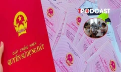 Thủ tục cấp sổ đỏ lần đầu tại cấp xã có 3 bước, hoàn thành trong 3 ngày