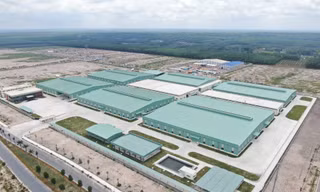 Lý do hàng loạt doanh nghiệp tại Đồng Nai bị xử phạt