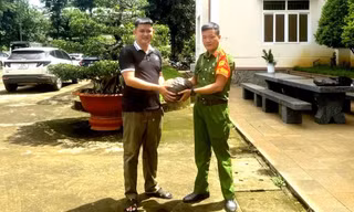 Tê tê quý hiếm 'đi lạc' ra đường ở Đồng Nai 