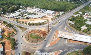 Nhà thầu kêu trời vì nguyên vật liệu 'nhảy múa' theo giá xăng dầu 