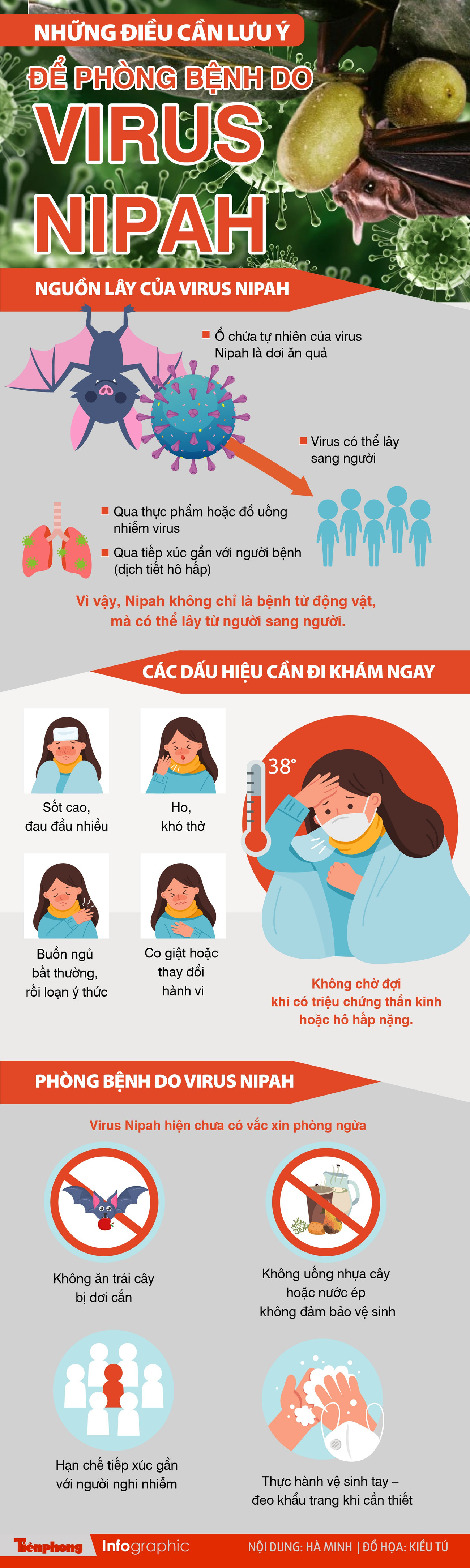 virus-nipah-02.jpg