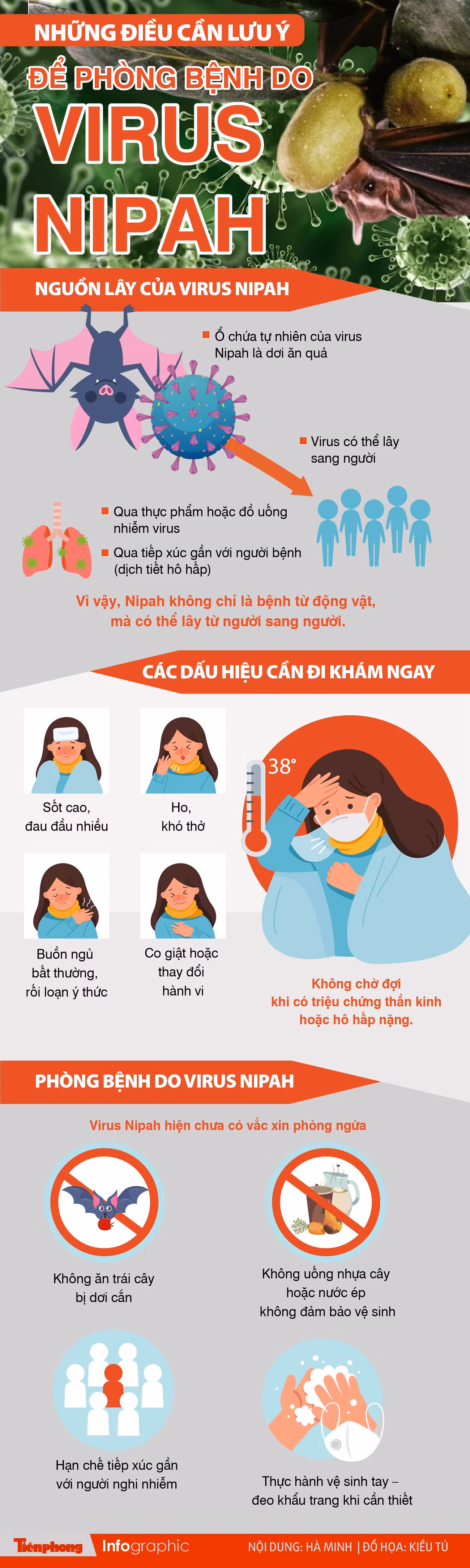 virus-nipah-02.jpg