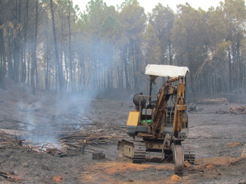 Hiện trường vụ cháy
