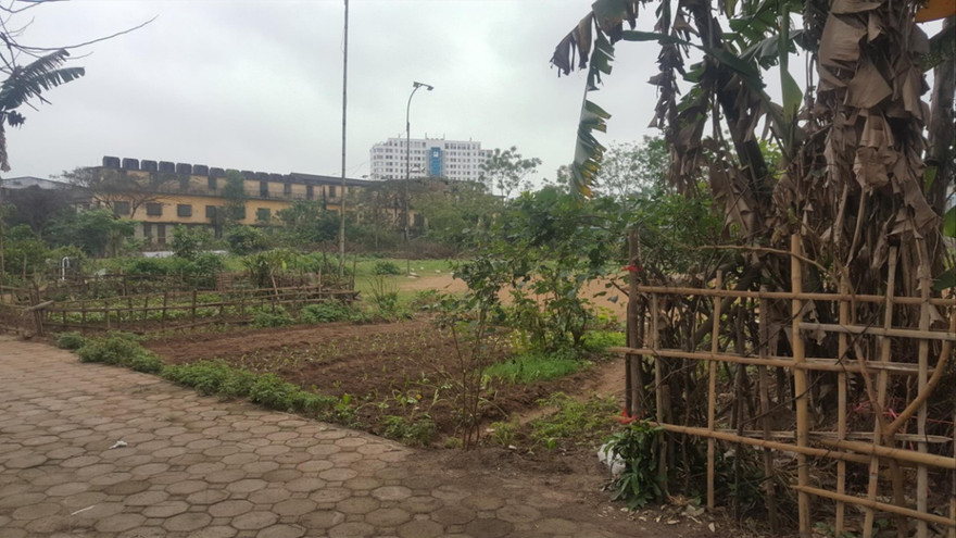 Gần 7.000m2 đất dành để xây trường học vẫn bị để trống, bỏ hoang