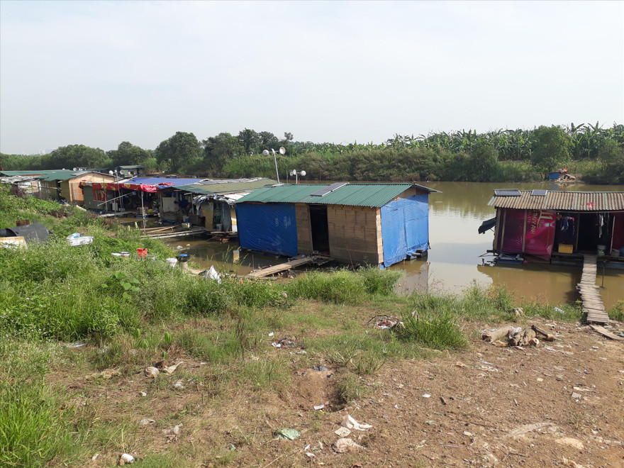 Xóm chài bãi giữa sông Hồng.      Ảnh: P.V 