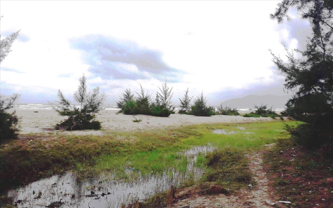 Khu đất cấp cho cán bộ, cựu lãnh đạo huyện Phú Lộc này hiện nằm trong vùng dự án kinh tế béo bở 