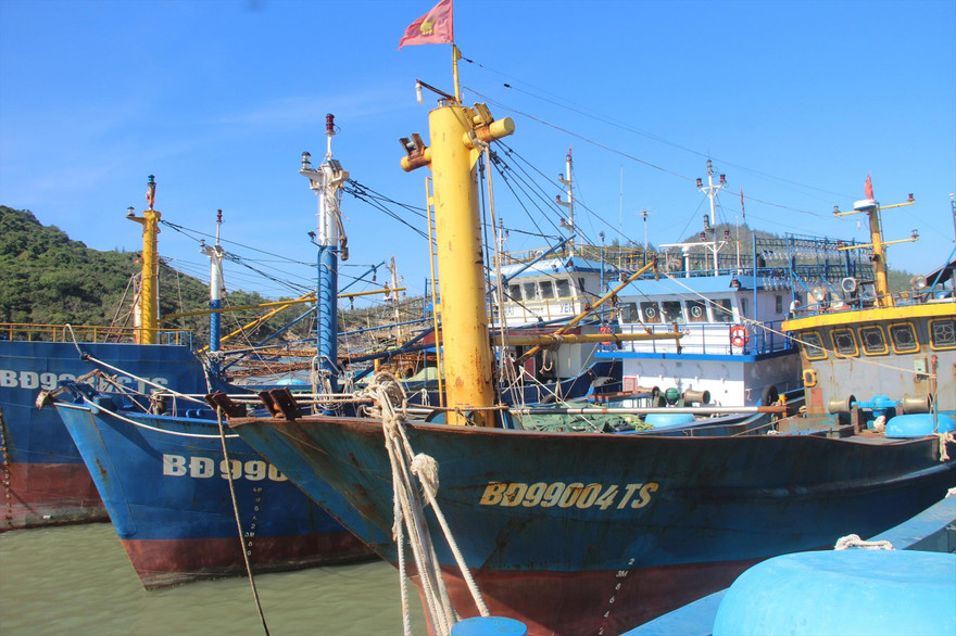 Nhiều tàu cá đóng theo Nghị định 67 “mắc cạn”, ngư dân không có tiền trả nợ ngân hàng và đối diện với việc hầu tòa. Ảnh: Bình Phương
