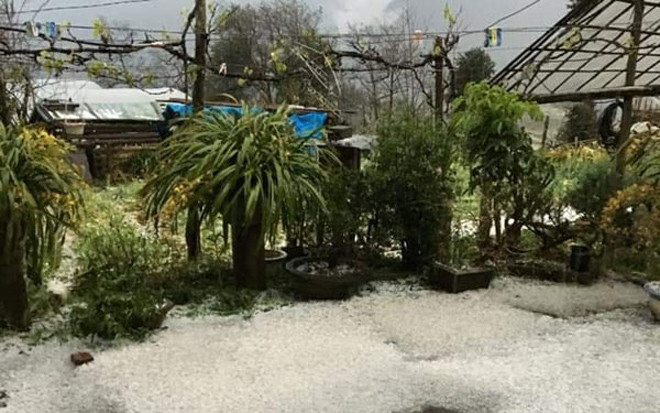 Mưa đá phủ trắng nhà dân ở Thác Bạc, xã San Sả Hồ, Sa Pa. Ảnh: Báo Lào Cai online