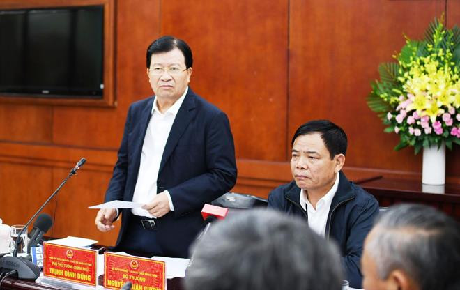 Phó Thủ tướng Trịnh Đình Dũng yêu cầu áp dụng các biện pháp khẩn trương ngăn chặn dịch tả lợn châu Phi lây lan. ảnh: Bình Phương