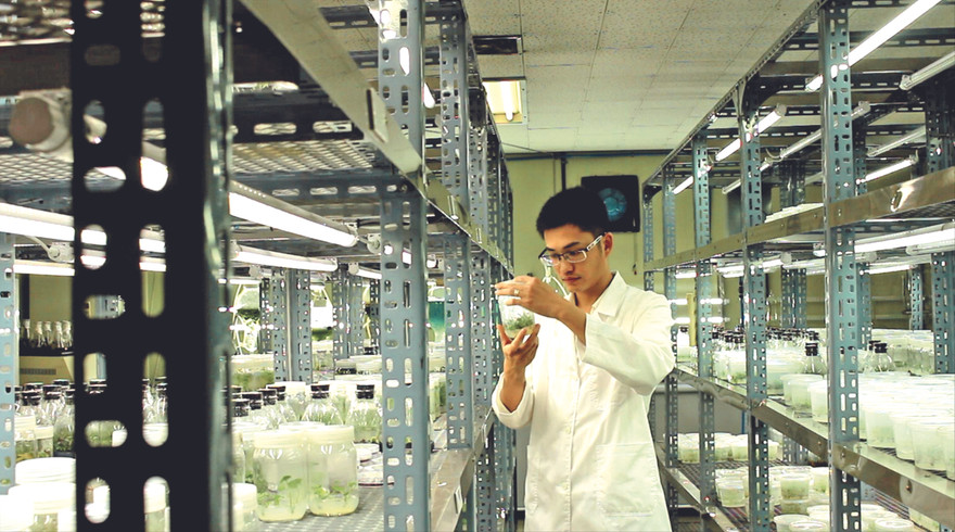 TS. Hồ Thanh Tâm trong phòng thí nghiệm Ảnh: NVCC