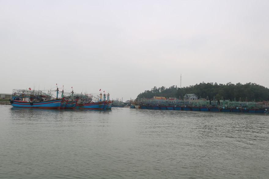 Cảng cá lạch Quèn 