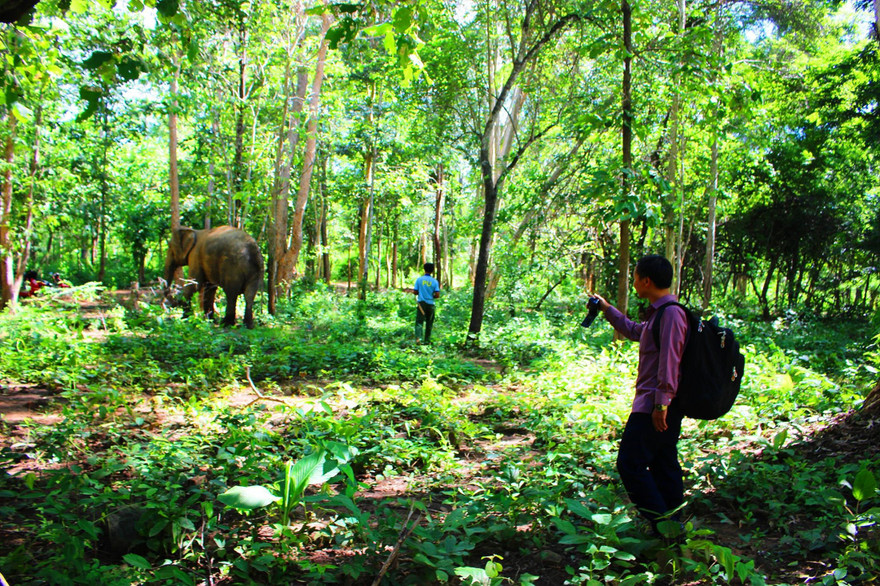 Mô hình du lịch thân thiện cho khách tham quan từ xa