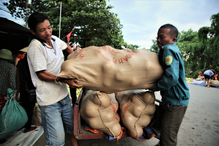 Khung cảnh nhộn nhịp, tấp nập ở đất bưởi Hương Khê mùa thu hoạch 