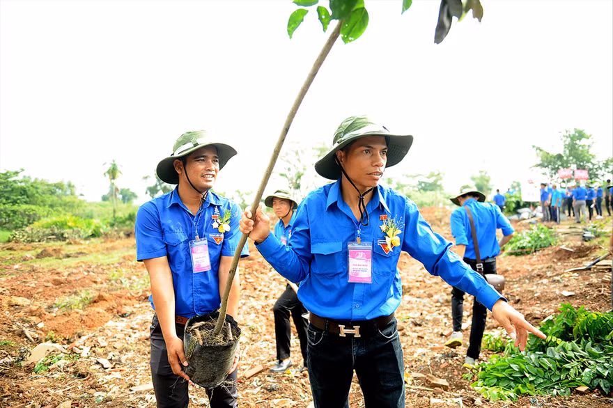 Đại hội có nhiều hoạt động an sinh xã hội, hướng về cộng đồng. (Trong ảnh, các đại biểu Đại hội thanh niên làm theo lời Bác lần thứ V tham gia trồng cây thực hiện công trình thanh niên) Ảnh: Xuân Tùng