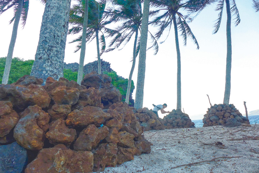 Đá nham thạch hỏa diệm sơn ôm giữ từng gốc dừa trên đảo Bé ảnh: Trần Tuấn
