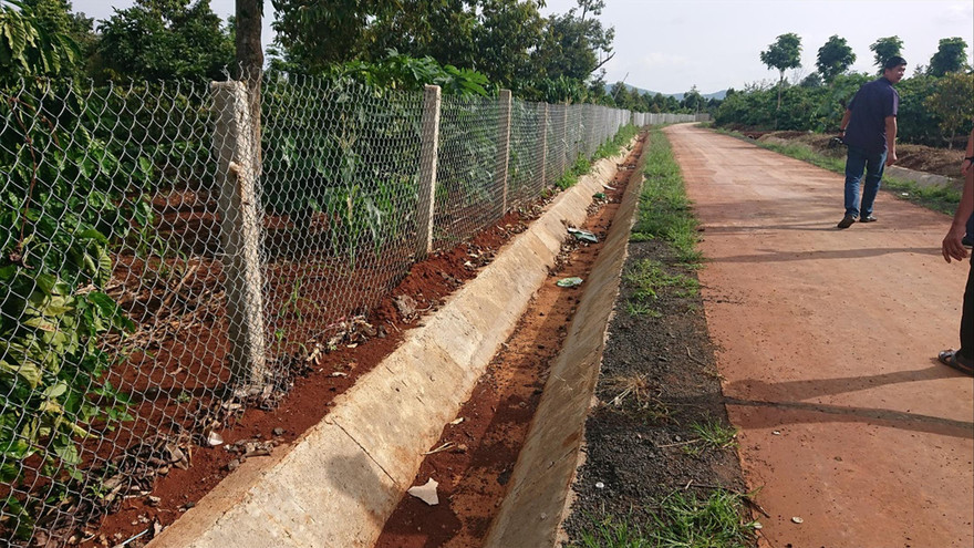 Đường bê tông vào nơi không quy hoạch