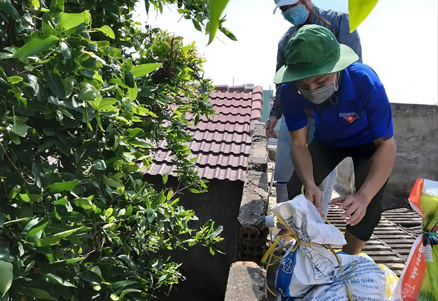 Lực lượng đoàn viên thanh niên hỗ trợ người dân gia cố nhà cửa trước bão số 9 Ảnh: Giang Thanh