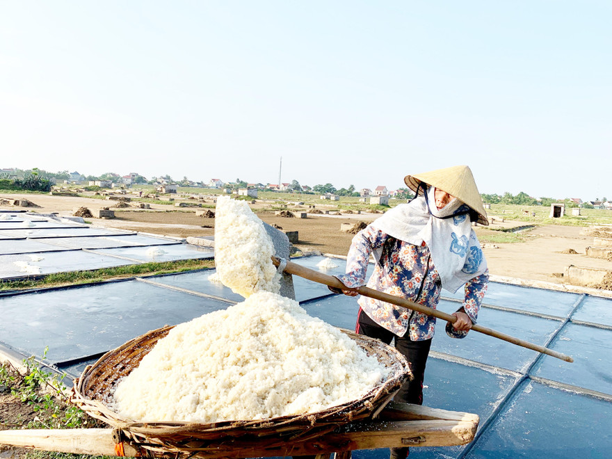 Diêm dân trên đồng muối