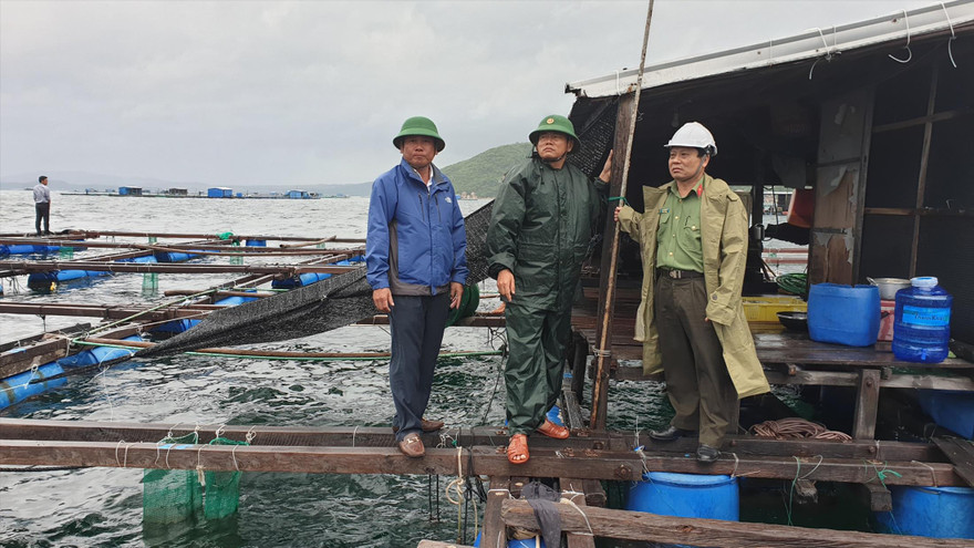 Lực lượng chức năng tỉnh Khánh Hoà xuống tận lồng bè nuôi hải sản vận động người dân lên bờ tránh bão Ảnh: Công Hoan 