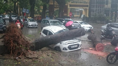 Tài xế Grab Taxi may mắn thoát chết khi cây đổ trúng đầu xe trong lúc anh đang chờ khách. 