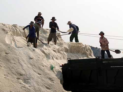 Diêm dân ở tỉnh Ninh Thuận trúng đậm mùa muối nhưng không vui vì giá rẻ (Ảnh: Lê Trường/NLĐ).