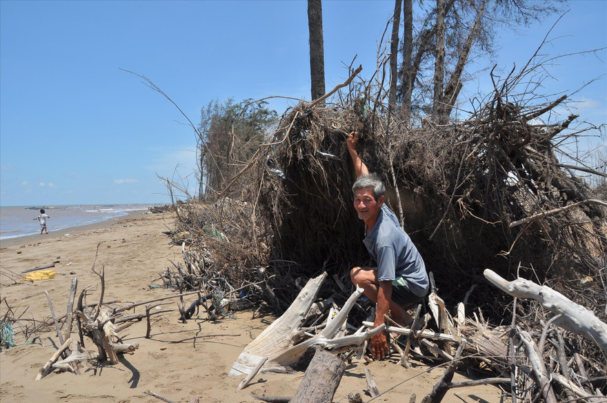 Biển xâm lấn nuốt trôi hàng cây ven biển ở Bến Tre. Ảnh: Hòa Hội