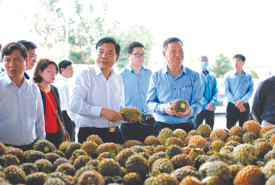 Chủ tịch DOVECO Đinh Cao Khuê (bên phải) giới thiệu sản phẩm nông nghiệp thông qua mô hình liên kết chuỗi với Bộ trưởng NN&PTNT Nguyễn Xuân Cường