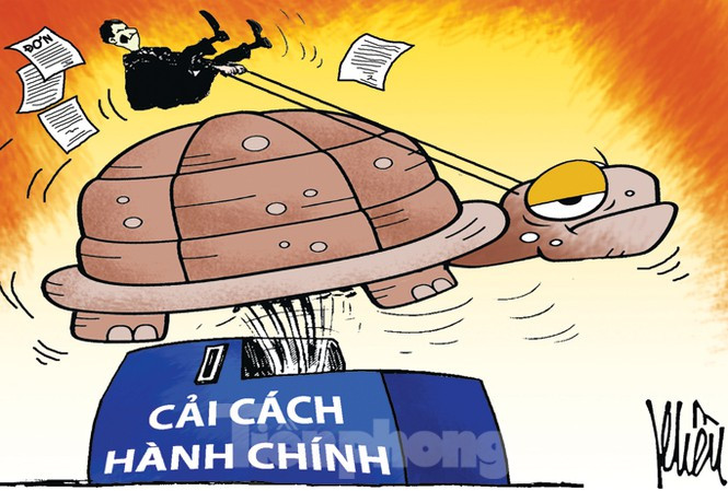 Lợn bị cấm ăn bèo, nuôi trùn quế bị phạt 50 triệu: Ai 'đẻ' quy định gây khó dân?