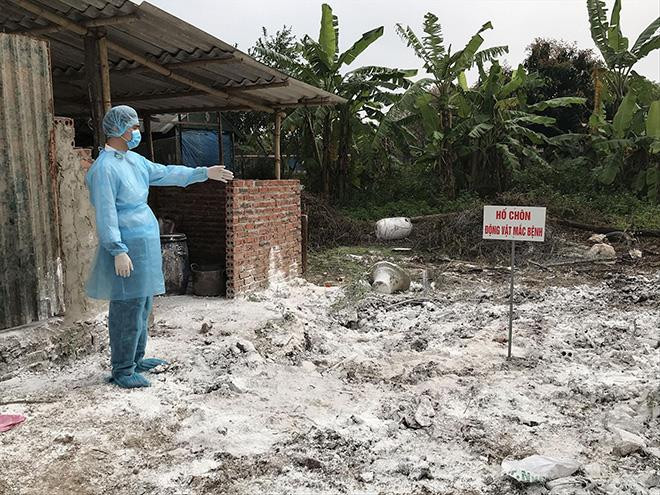 Ổ dịch đầu tiên ở Hà Nội xuất hiện tại phường Ngọc Thụy, quận Long Biên đã được khoanh vùng, rắc vôi, phun thuốc sát trùng. Ảnh: Bình Phương 
