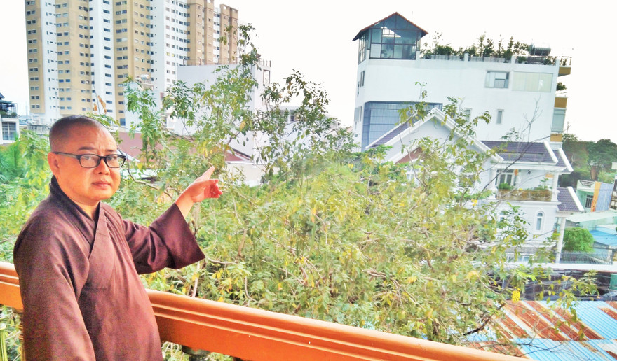 Hòa thượng Thích Từ Trí chỉ một ngôi nhà cao tầng đã xây dựng trên đất chùa cổ Giác Lâm Ảnh: Trần Nguyên Anh 