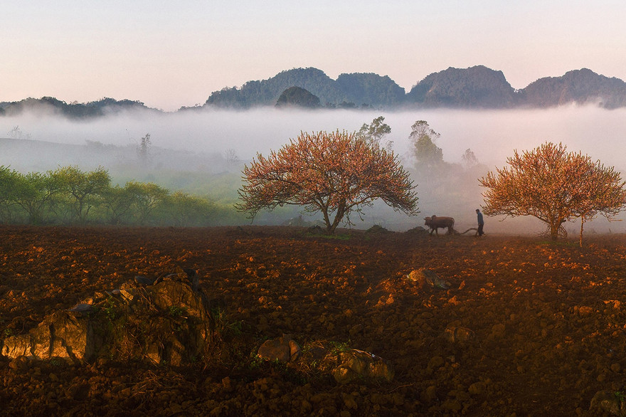 Dứt bỏ những cuộc đua huy chương, giải thưởng