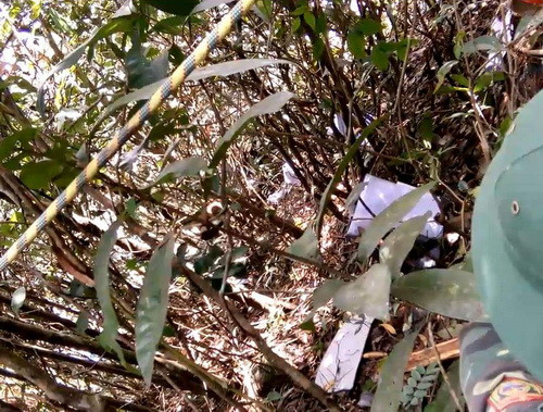 Hiện trường vụ rơi máy bay. Ảnh: Vnexpress