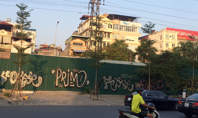 Những cây xanh vừa được trồng dưới đường dây lưới điện cao thế ở đường Trần Quang Khải.