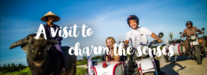 Giao diện website mới của du lịch Việt Nam được thiết kế theo chuẩn quốc tế.