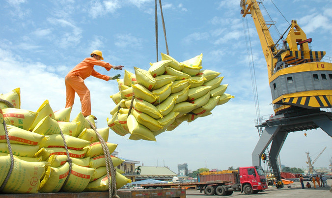 Những lô hàng gạo xuất khẩu ra nước ngoài. Ảnh: Ngọc Châu.