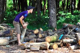 Doanh nghiệp Trung Quốc ồ ạt mua gỗ cao su