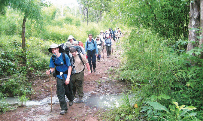 Khách du lịch đi bộ trong rừng.