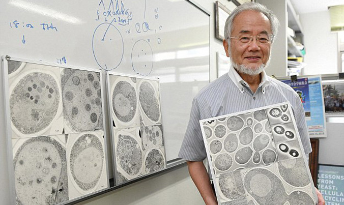 GS Yoshinori Ohsumi - chủ nhân giải Nobel Y học 2016. Ảnh: AP.