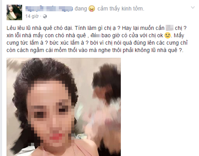 Facebook & hệ lụy: Chợ văng tục, chửi bậy