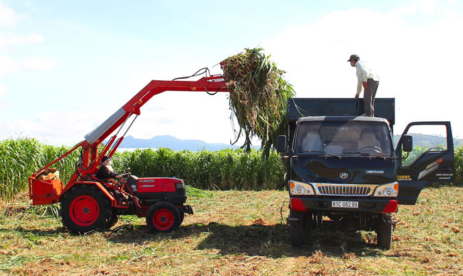 Nhiều doanh nghiệp phải trả lãi vay tiền tỷ mỗi ngày.