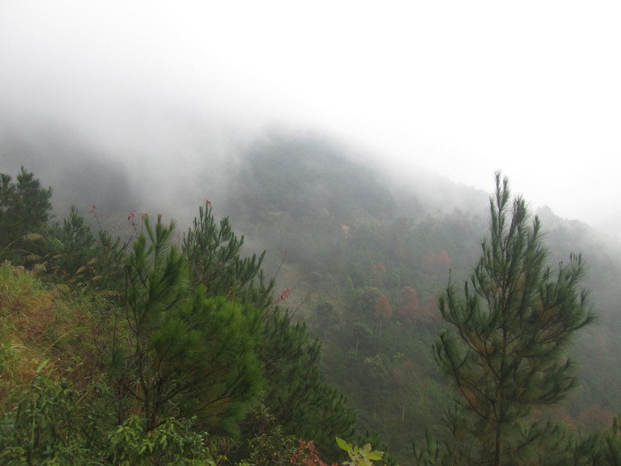 Mẫu Sơn (huyện Lộc Bình), nhiệt độ giảm xuống thấp, còn 5,8 độ C. Ảnh: Công Lý