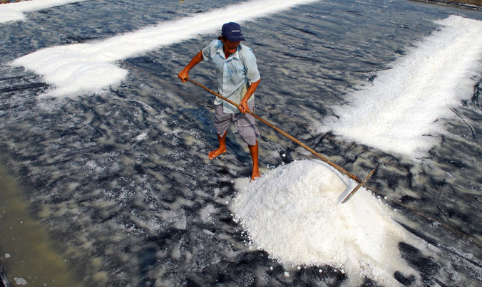 Thu hoạch muối trải bạt tại xã Lý Nhơn, huyện Cần Giờ, TPHCM. Ảnh: TTXVN.