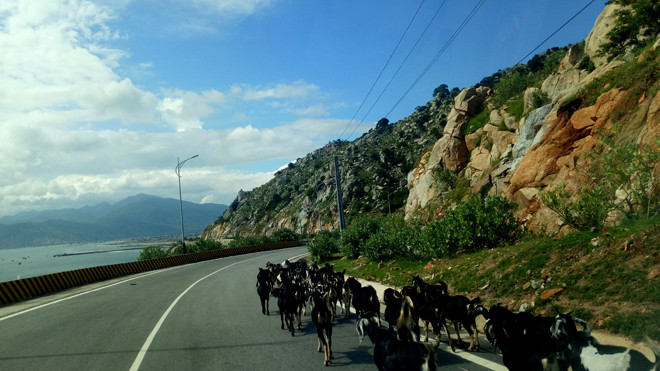 Một đoạn đường ven biển khu vực Cà Ná (Ninh Thuận). Ảnh: Đại Dương.