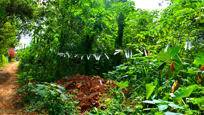 Kim tiêm giăng đầy hẻm 43 Ama Khê - Đinh Núp. Ảnh: Thiên Thảo