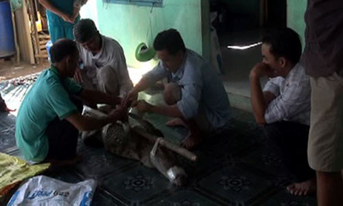 Tin đọc nhanh ngày 16/12: Bắt sống cá sấu dài 2 mét ở gần hồ Trị An