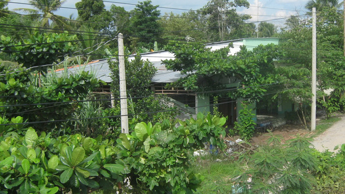 Đất vườn trong quy hoạch dự án đều phải bỏ hoang. Ảnh: Thanh Hải